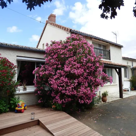 Chambres D'hotes Vignes Et Loire Drain