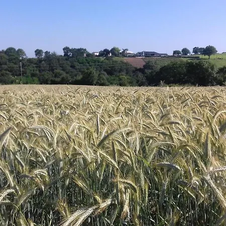 D'hotes Vignes Et Loire 3*