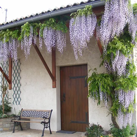 Panzió D'hotes Vignes Et Loire