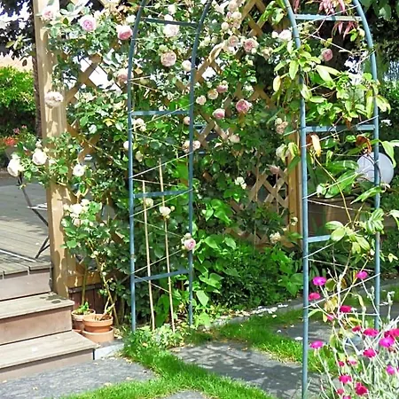 Chambres D'hotes Vignes Et Loire Bed & Breakfast 3*