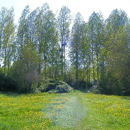 Chambres D'hotes Vignes Et Loire Bed & Breakfast