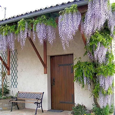 Bed & Breakfast Chambres D'hotes Vignes Et Loire 3*