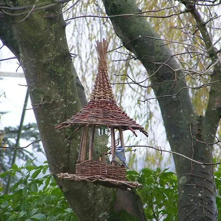 D'hotes Vignes Et Loire