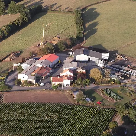 D'hotes Vignes Et Loire Oda ve Kahvaltı Drain