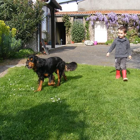 D'hotes Vignes Et Loire Drain