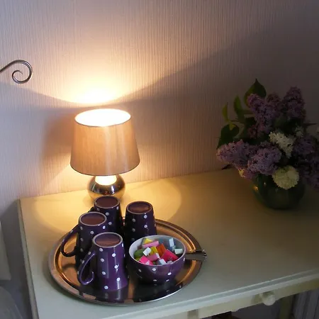 D'hotes Vignes Et Loire 3* Drain