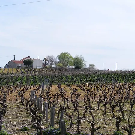 Oda ve Kahvaltı D'hotes Vignes Et Loire 3*
