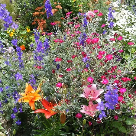 D'hotes Vignes Et Loire