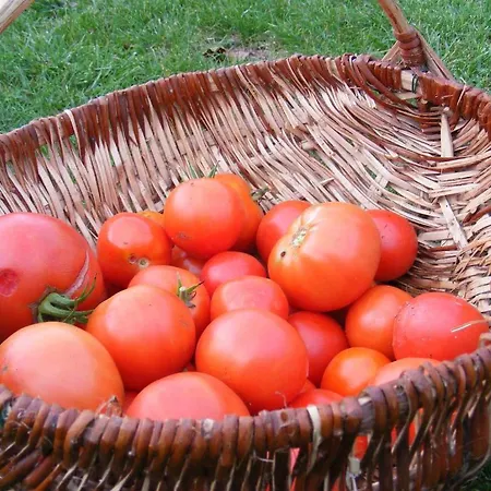 D'hotes Vignes Et Loire Panzió 3*