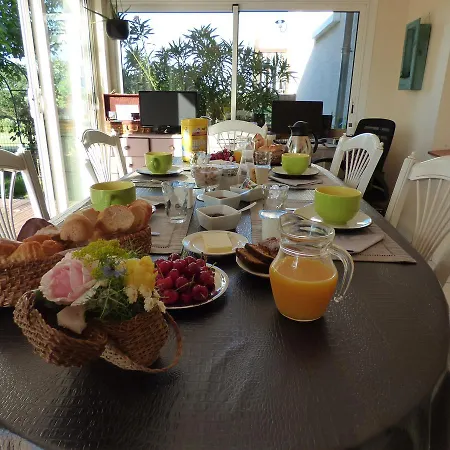 D'hotes Vignes Et Loire Drain