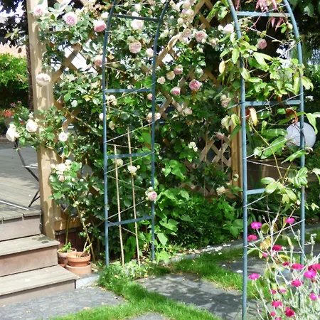 Chambres D'hotes Vignes Et Loire Bed & Breakfast