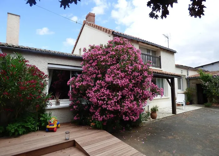 D'hotes Vignes Et Loire Drain