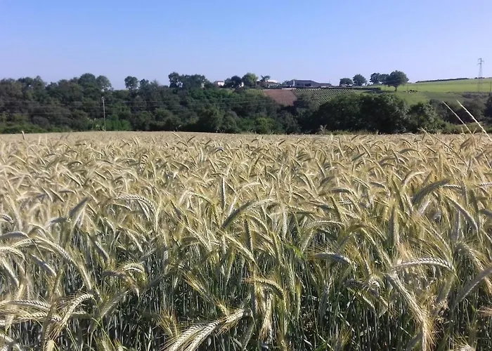 D'hotes Vignes Et Loire 3*