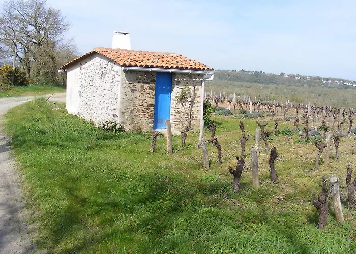 Bed & Breakfast Chambres D'hotes Vignes Et Loire 3*