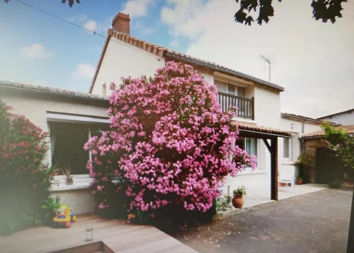 לינה וארוחת בוקר D'hotes Vignes Et Loire