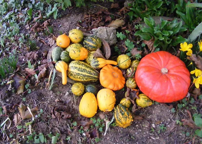 Chambres D'hotes Vignes Et Loire Bed & Breakfast Drain