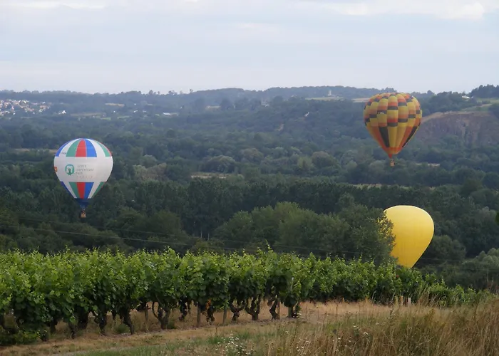 Chambres D'hotes Vignes Et Loire 3*