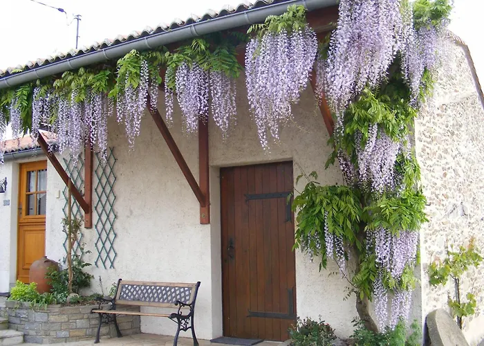 Bed & Breakfast Chambres D'hotes Vignes Et Loire