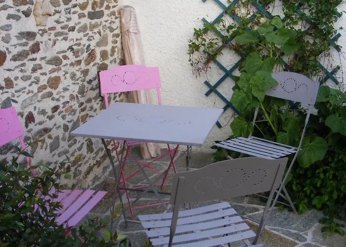 D'hotes Vignes Et Loire Drain