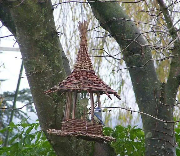 Chambres D'hotes Vignes Et Loire