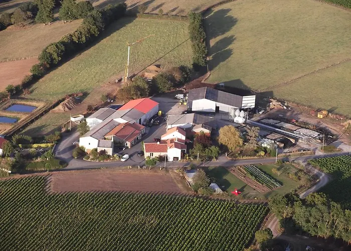 D'hotes Vignes Et Loire לינה וארוחת בוקר Drain