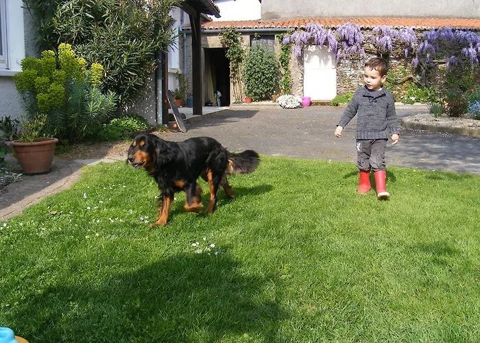D'hotes Vignes Et Loire Drain