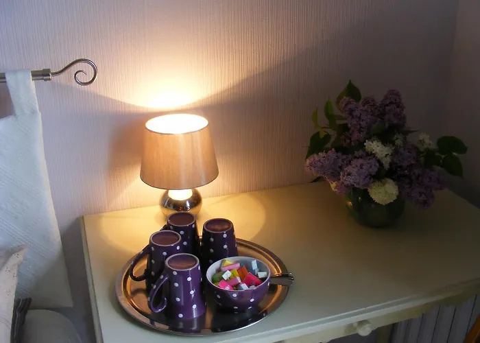 D'hotes Vignes Et Loire 3* Drain