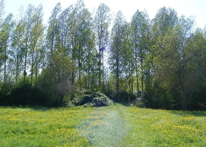 D'hotes Vignes Et Loire 3*