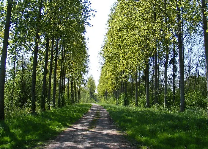 Bed & Breakfast Chambres D'hotes Vignes Et Loire