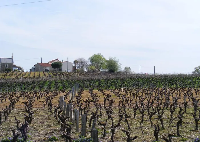 Bed & Breakfast Chambres D'hotes Vignes Et Loire 3*