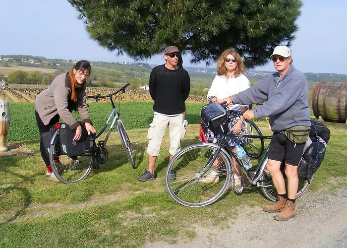 לינה וארוחת בוקר D'hotes Vignes Et Loire