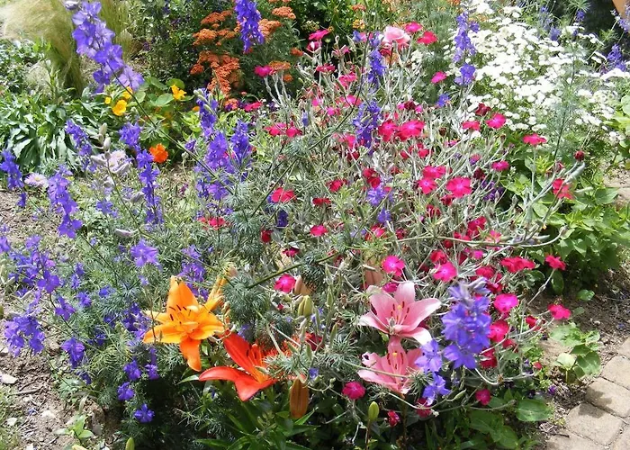 D'hotes Vignes Et Loire