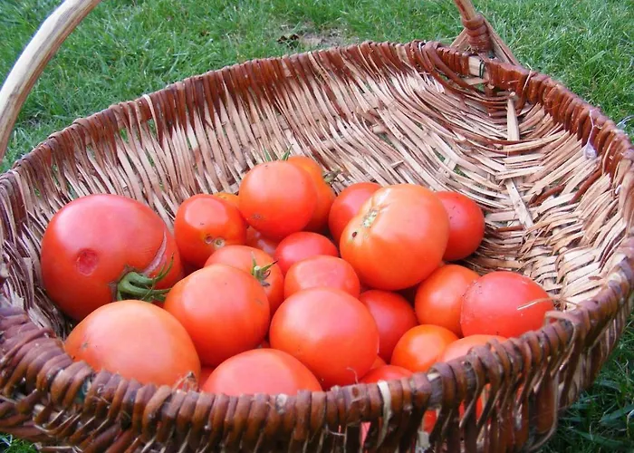 Chambres D'hotes Vignes Et Loire Bed & Breakfast 3*