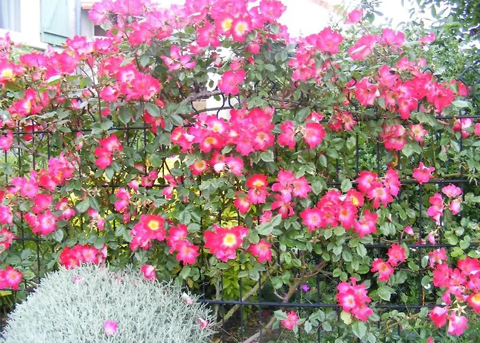 D'hotes Vignes Et Loire לינה וארוחת בוקר 3*