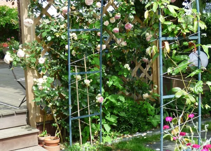 Chambres D'hotes Vignes Et Loire Bed & Breakfast